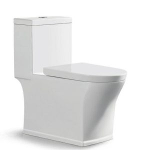 Bệt vệ sinh liền khối W871